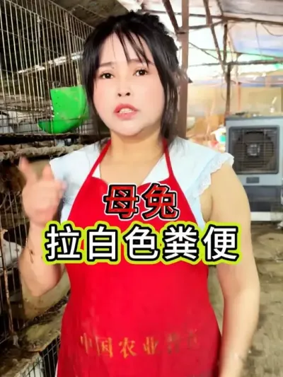 #养兔 #养兔人 #三农 #养殖人加油