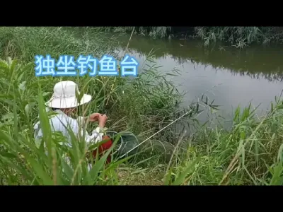 渔洞埠垂钓偶感#钓鱼