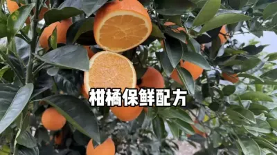 柑橘采后果实保鲜王者配方分享 #农业种植 #柑橘种植 #三农 #果树管理 #保鲜 