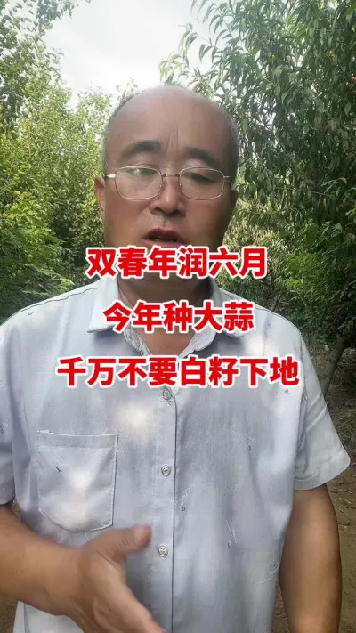 双春年润六月今年种大蒜千万不要白籽下地#大蒜种植 #大蒜拌种 #大蒜种植技术 #大蒜高产