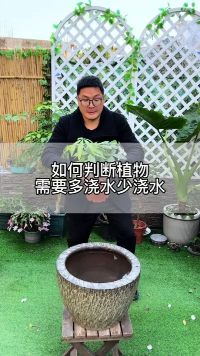 养花浇水小妙招#花卉绿植 #养花 #种植小技巧