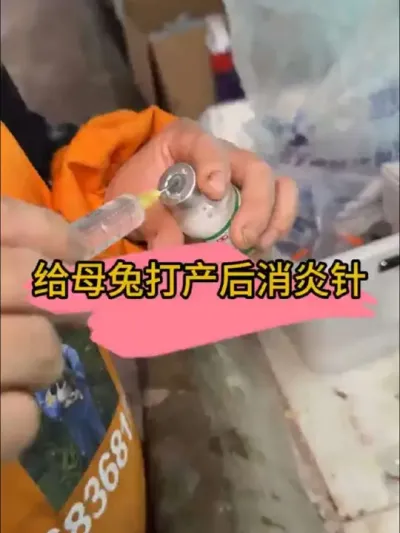 #抖音助农扶农 #养兔人 #养兔 #肉兔养殖 #干货