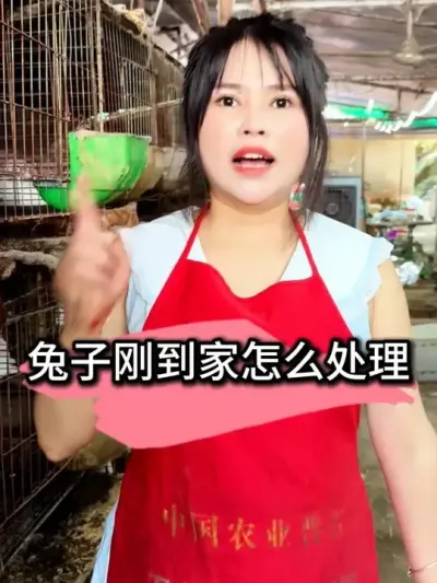 #农村创业养殖 #抖音助农 #养殖 #自繁自养 #养兔人