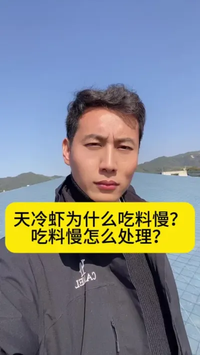天冷虾为什么吃料慢？吃料慢怎么处理？#南美白对虾 #高位池养殖 #冬棚养虾 #小棚养虾 #创作灵感