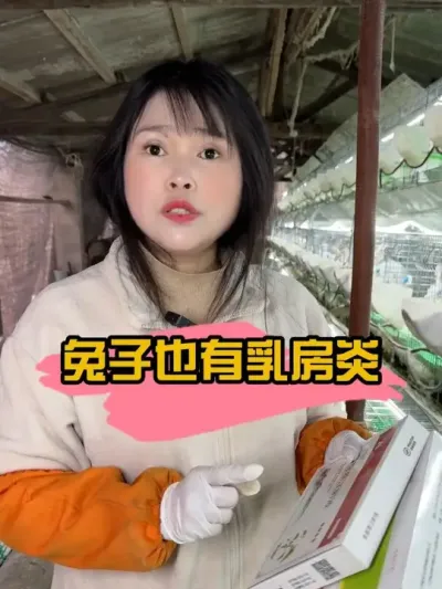 #肉兔养殖 #养兔人 #农村创业养殖 #三农 #肉兔