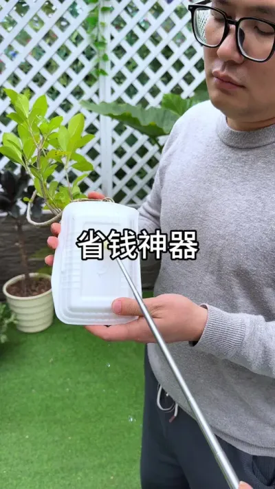 养花省钱的好东西 #花卉绿植 #养花 #种植小技巧