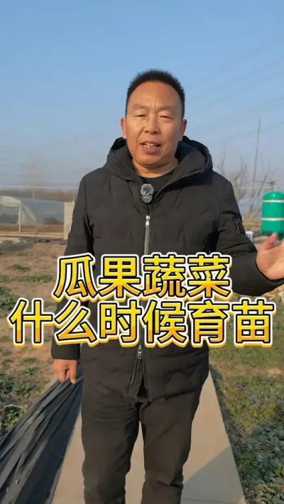 家庭种植的茄子辣椒番茄，什么时候育苗合适 #种植时间 #家庭小菜园 #蔬菜种植 @抖音小助手