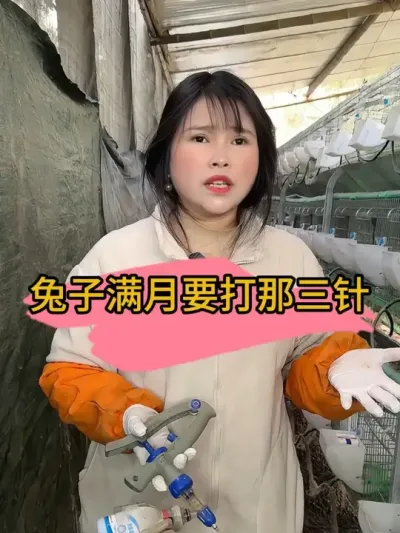 现在到处兔子都在死亡，疫苗球虫还是要做上#养兔技术 #养兔人 #三农养殖 #肉兔 #养兔技术经验分享