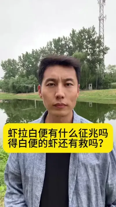 虾拉白便有什么征兆吗？得白便的虾还有救吗？一定要排塘吗？#南美白对虾 #小棚养虾 #土塘养虾 #养虾人 #创作灵感