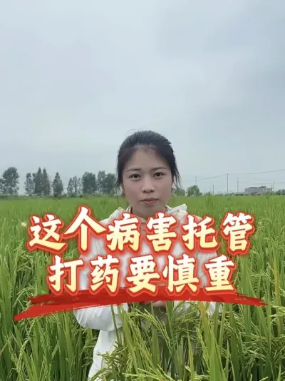细菌性病害发生，打药器械选不对，会加速传染，加重病害#分享农业知识帮农民增产增收 #老百姓关心的话题