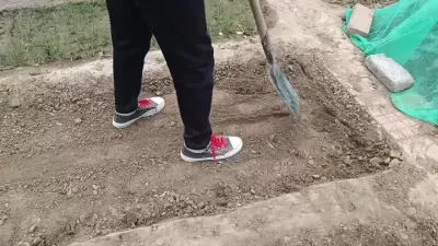 丰收在望！一沟双行种植大葱好处多。✨一种占地少、产量高，适用小菜园种植大葱的模式&mdash;&mdash;一沟双行种植法。 1️⃣菜畦宽1米，沿菜畦中心线挖沟，挖沟深度20公分，将挖出的土放于两侧，便于后期培土。 2️⃣将
