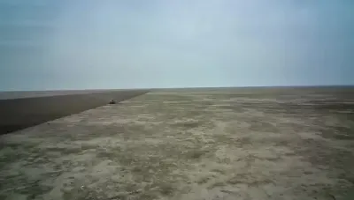 高标准条田犁着真得劲#基本农田 #高标准农田