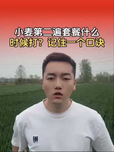 小麦第二遍套餐到底什么时候打？记住一个口诀#小麦 #分享农业知识帮农民增产增收 #小麦种植管理技术 #农业植保知识分享 #传播农业小知识