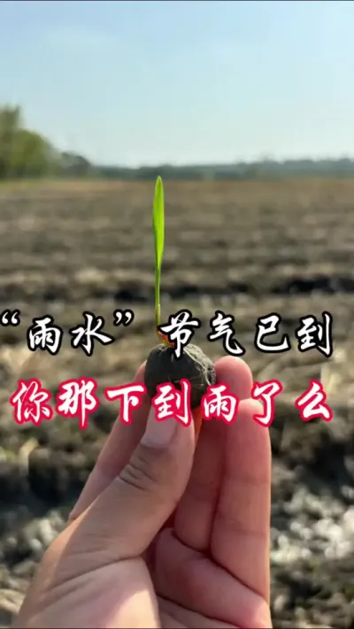 现在就缺一场透雨了#分享农业知识帮农民增产增收