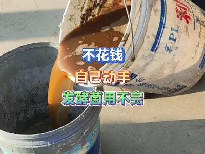 买EM发酵菌花了钱又怕买到假的？自己动手就能做发酵肥料的菌种 #新农人计划2025 #种植小技巧 #三农 #抖音助农 #有机肥发酵 