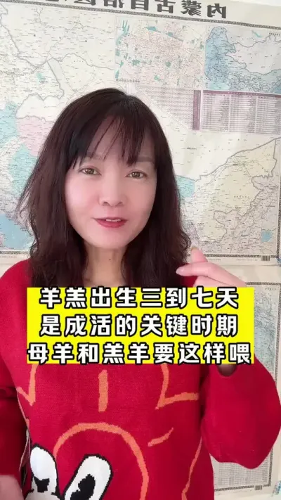 #养殖场专用 #牛羊养殖 #超便宜超划算