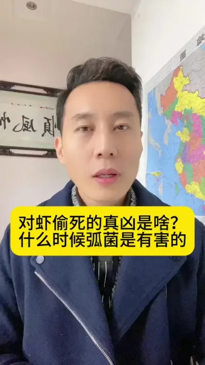 对虾偷死的真凶是啥？什么时候弧菌是有害的？#南美白对虾 #高位池养殖 #冬棚养虾 #小棚养虾 #创作灵感