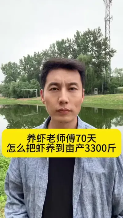 养虾老师傅70天怎么把虾养到亩产3300斤的？#土塘养虾 #对虾养殖 #小棚养虾 #养虾人 #创作灵感