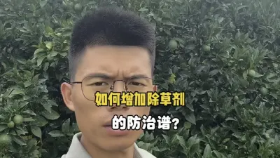 草甘膦、草铵膦加上它，大大提高除草的防治谱 #三农 #农业 #泰禾股份 #泰火快 #灭生性除草 