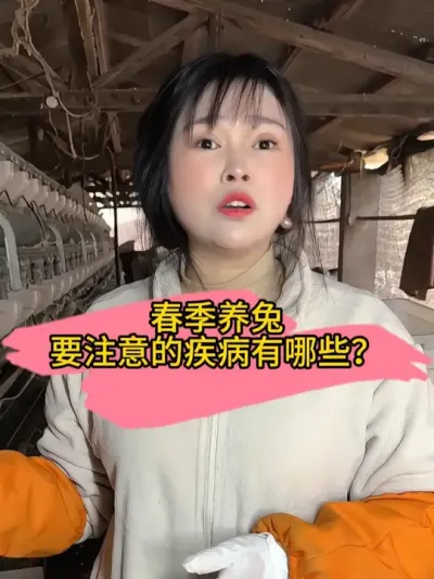 春季养兔要注意预防各种疾病#肉兔养殖 #养兔人 #肉兔 #农村创业养殖 #干货