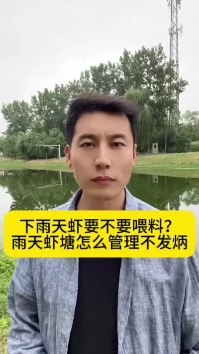 下雨天虾要不要喂料？雨天虾塘怎么管理不发炳#对虾养殖 #小棚养虾 #土塘养虾 #养虾人 #创作灵感