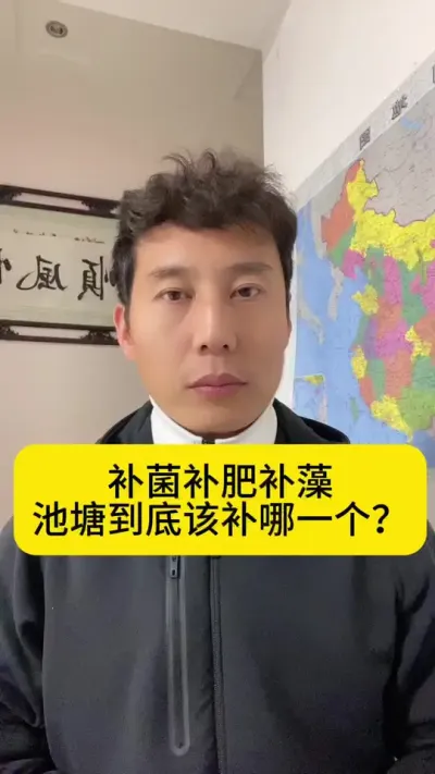 补菌补肥补藻，池塘到底该补哪一个？#南美白对虾 #水产养殖 #小棚养虾#冬棚养虾 #创作灵感