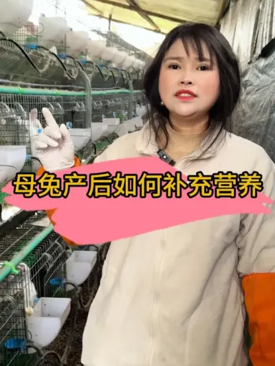 母兔产后没有奶，小兔生的在多也没用#肉兔养殖 #自繁自养 #农村创业养殖 #我的养殖生活 #干货