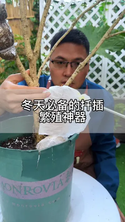 植物冬天繁殖好方法#花卉绿植 #养花 #种植小技巧