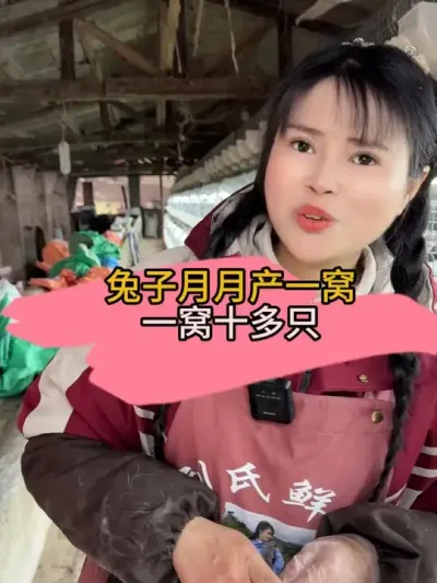 想养兔一定要考虑清楚，不要一时脑热#养兔人 #养兔技术 #肉兔养殖 #农村创业养殖