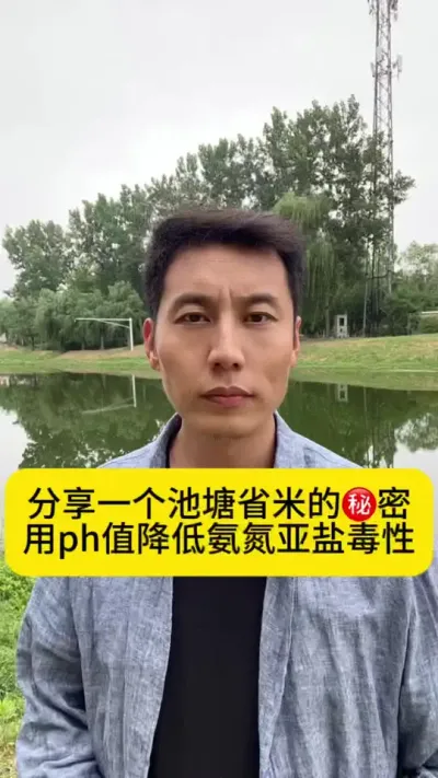 分享一个池塘省米的㊙️密，用ph值降低氨氮亚盐毒性#水产养殖技术 #鱼虾蟹养殖 #对虾养殖 #养虾人 #创作灵感
