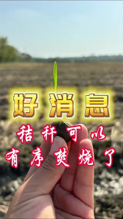 好消息，湖南秸秆可以有序的焚烧了#秸秆##分享农业知识帮农民增产增收