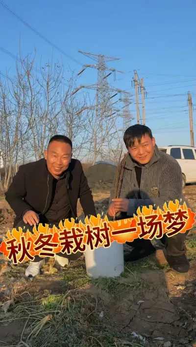 冬季适合移栽树苗吗  #果树种植  秋冬栽树一场梦  #桃花朵朵开 #助力三农我们在行动 @生菜杨姐 #上热门话题🔥🔥🔥