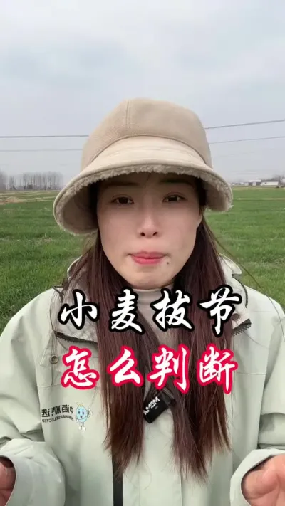 小麦拔节。看这两个就能知道#三农 #分享农业知识帮农民增产增收