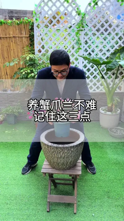 养蟹爪兰，这些错误方法不要做#花卉绿植 #养花 #种植小技巧