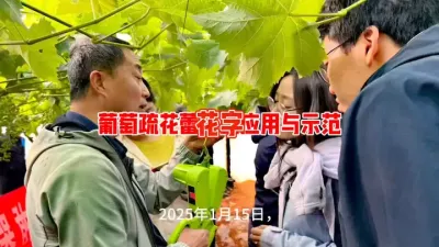 葡萄疏花器的应用与示范。