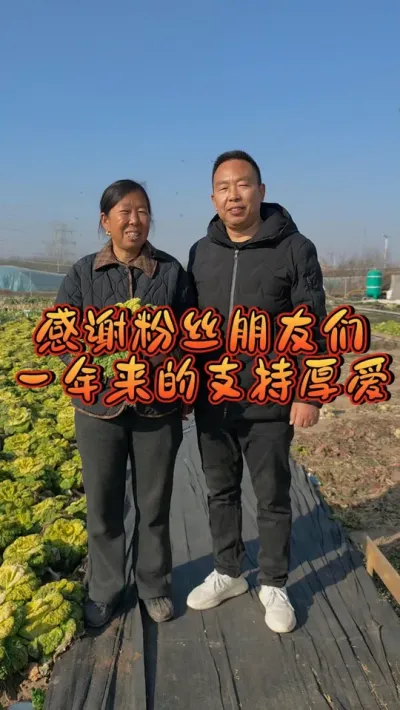 感谢粉丝朋友们一年来的支持与厚爱，接下来我们会继续努力，不忘初心。#蔬菜种植 #2024年@生菜杨姐