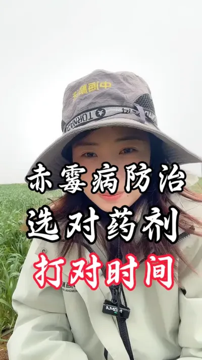 赤霉病咋防治#分享农业知识帮农民增产增收