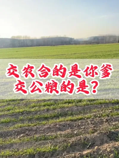 #交公粮 #交公粮的年代