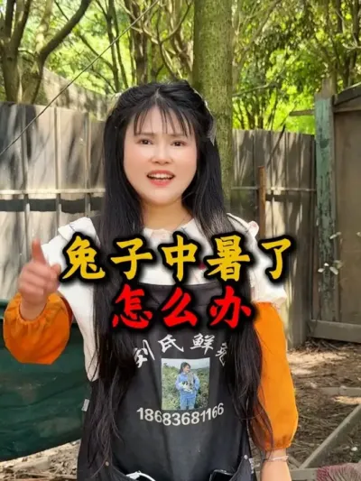 现在天气越来越热，一定要注意防暑#养兔人 #养兔技术 #养兔子