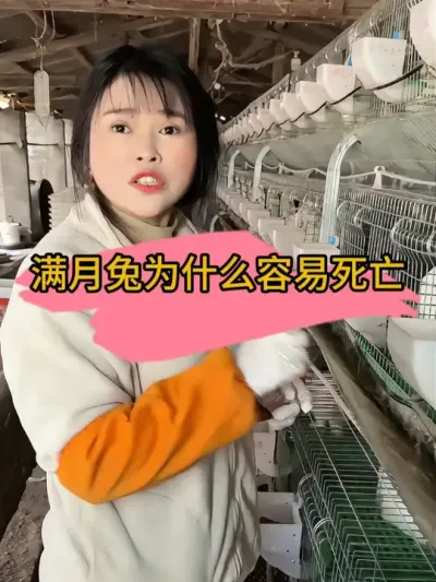 预防比什么都重要#肉兔养殖 #自繁自养 #养兔人 #农村创业养殖 #养兔技术