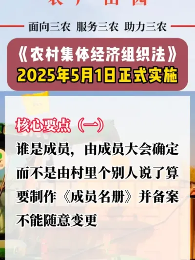 #最新消息 #新闻 #热点 #政策解读 #集体经济组织成员