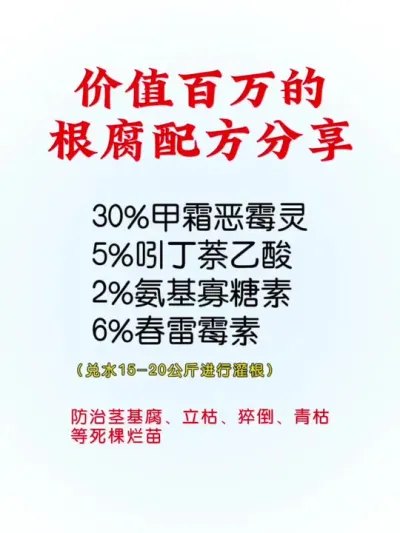 根腐病配方分享#传播农业小知识 #分享农业知识帮农民增产增收 #农业种植 #抖音助农 #根腐病怎么治