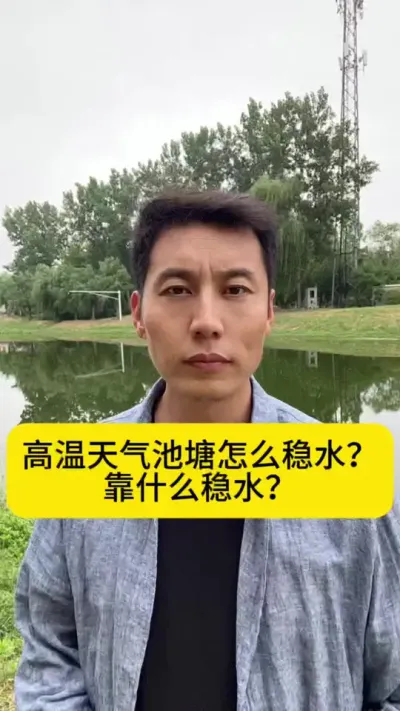 高温天气池塘怎么稳水？靠什么稳水？#南美白对虾养殖 #水产养殖技术 #小棚养虾 #养虾人 #创作灵感