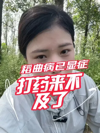 不见兔子不撒鹰，灰苞霉头出来了，这时候打药就晚了#分享农业知识帮农民增产增收 #老百姓关心的话题