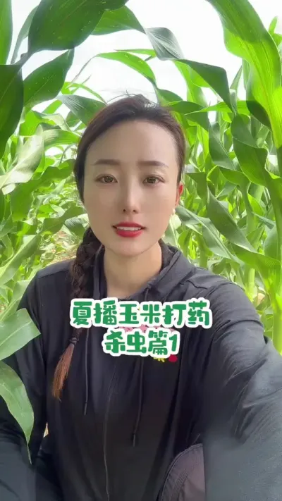 夏播玉米打药，杀虫注意⚠️ 治每一种虫子的药都有很多，不要一次用完，并不是越多越好#农业种植 #三农 #抖音新农人 #富玉917