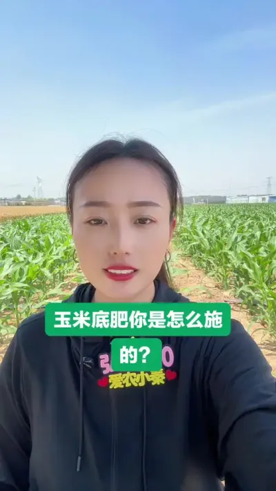 玉米底肥你是怎么施的 科学种田获高产，预祝各位丰产丰收！#农业知识分享 #每天分享农业小知识 #支持三农扶持三农发展 #玉米 #弘麦360