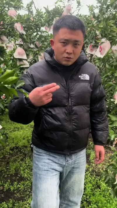 遮阳网不建议在柑橘防冻过冬使用#柑橘种植 #说点大实话 #果园管理
