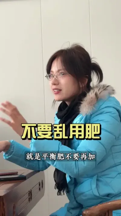 还要偷摸着往里加肥？#乡村生活家 #抖音助农扶农 #大姜种植 #新农人计划2025