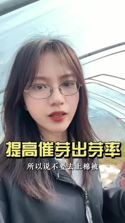 这样就能提高大姜催芽出芽率！#抖音助农扶农 #大姜种植 #乡村生活家 #新农人计划2025 #来抖音学农技