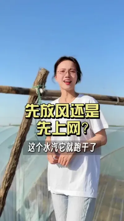 先放风还是先上网？#新农人计划2025 #来抖音学农技 #大姜种植 #抖音助农扶农 #乡村生活家